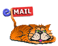 Scruggy the email cat